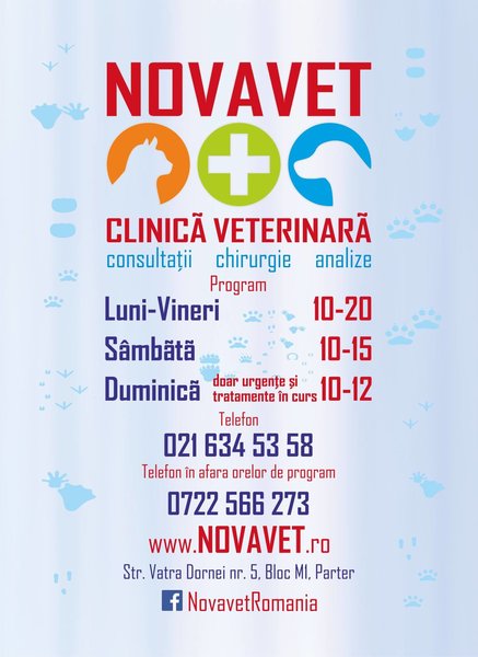 Novavet - Clinica Veterinara