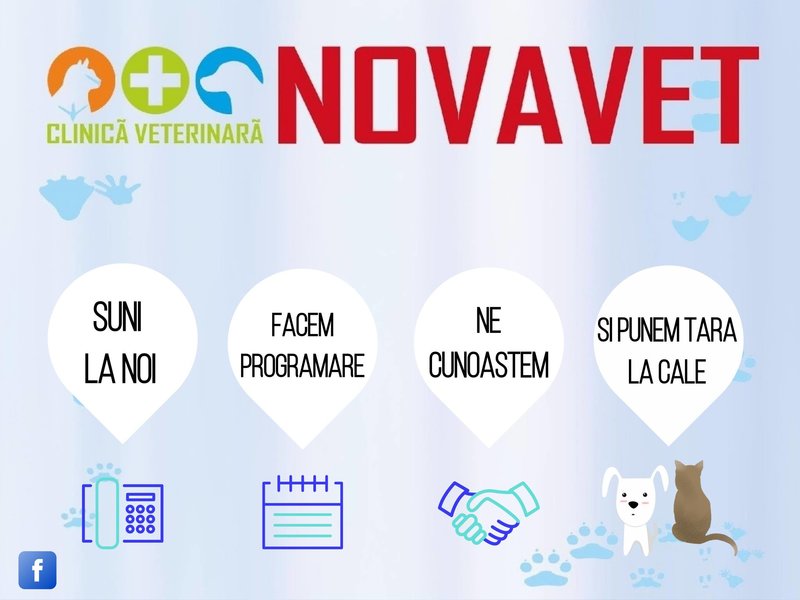 Novavet - Clinica Veterinara